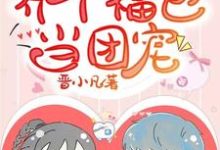 养个福包当团宠这本小说在哪里可以看?哪里有免费试读章节?-干果文学