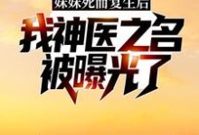 《妹妹死而复生后,我神医之名被曝光了》小说大结局免费试读 林漠许半夏小说-干果文学