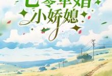 完结版《七零军婚小娇媳》免费阅读-干果文学