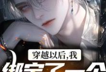 穿越以后,我绑定了一个弃子系统小说的免费阅读版本在哪里可以找到?-干果文学