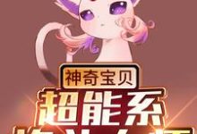 浩言小说神奇宝贝:超能系格斗大师在线阅读章节-干果文学