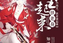 完结版《残王,扶老身起来》章节阅读-干果文学