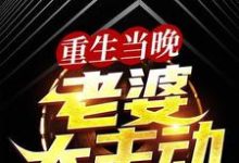 重生当晚,老婆太主动小说无弹窗阅读的网站推荐-干果文学