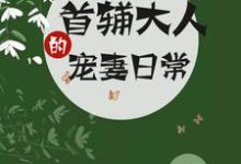 首辅大人的宠妻日常南苏钟离渊,首辅大人的宠妻日常最新章节-干果文学