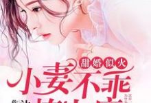 甜婚似火:小妻不乖,撩上瘾小说最新更新在哪里?免费在线看-干果文学