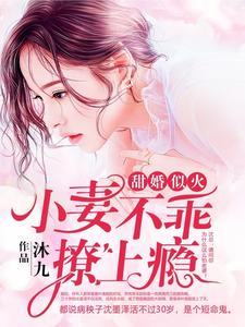 甜婚似火：小妻不乖，撩上瘾小说最新更新在哪里？免费在线看
