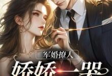 哪里能找到军婚撩人,娇娇一哭,他疯魔了小说的全部章节?-干果文学